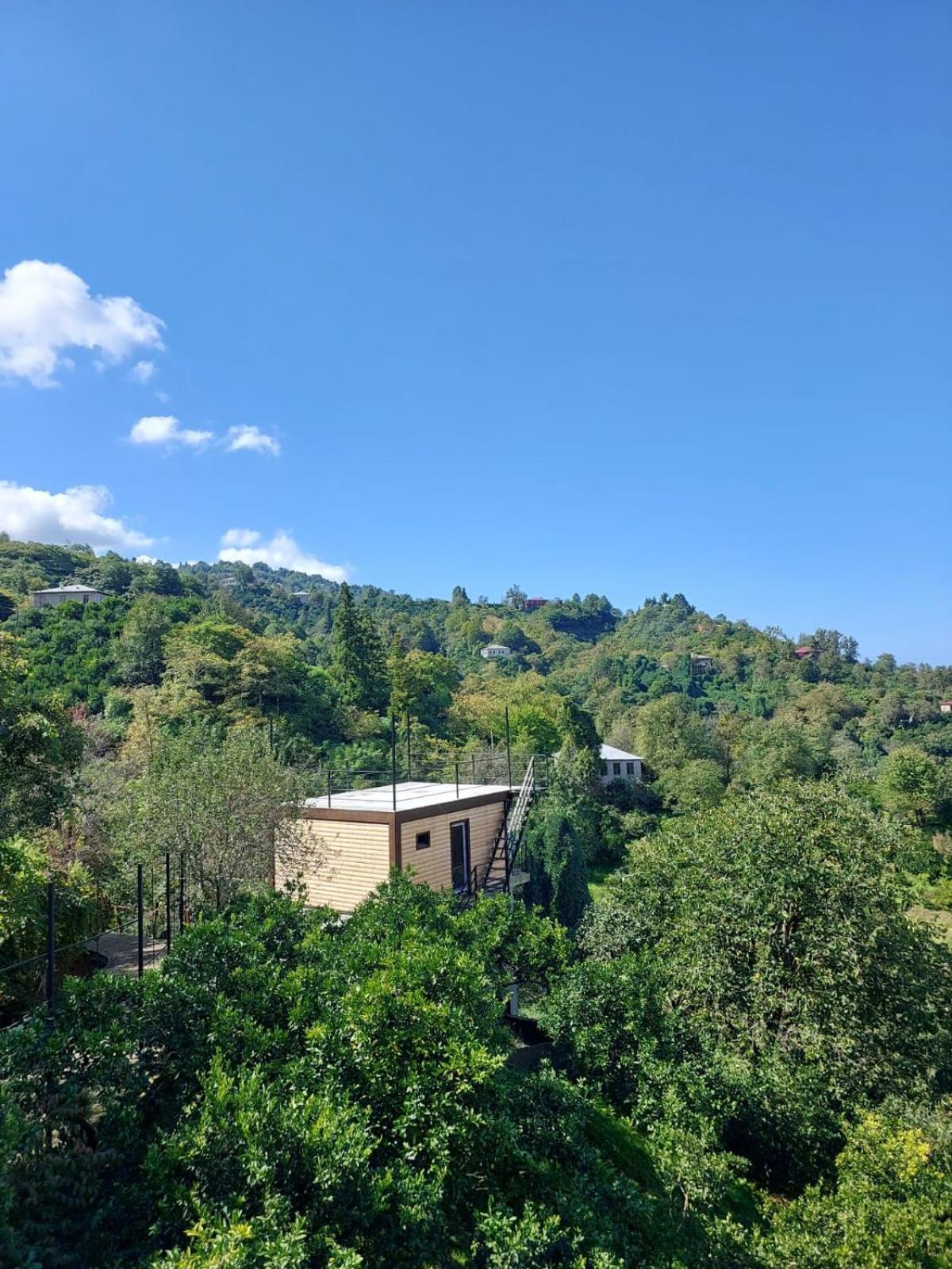 Mtirala House Otel Khala Oda fotoğraf