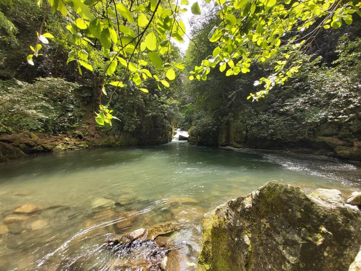 Mtirala House Otel Khala Dış mekan fotoğraf